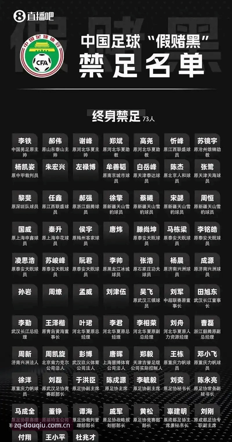揭秘中国足球第三批禁足名单背后的深层风暴——65人终身或5年禁赛，行业乱象何时休？